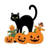 a bkack kitty with pumpkins